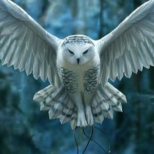 Meet your Posher, Brandi